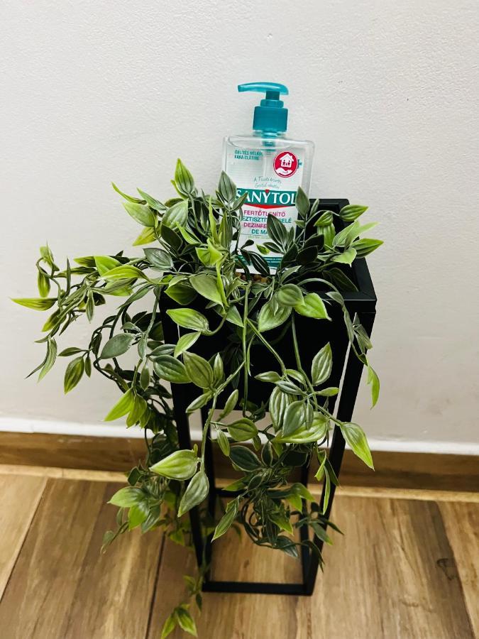 수체아바 Altheda Living Tineretului E8 아파트 외부 사진